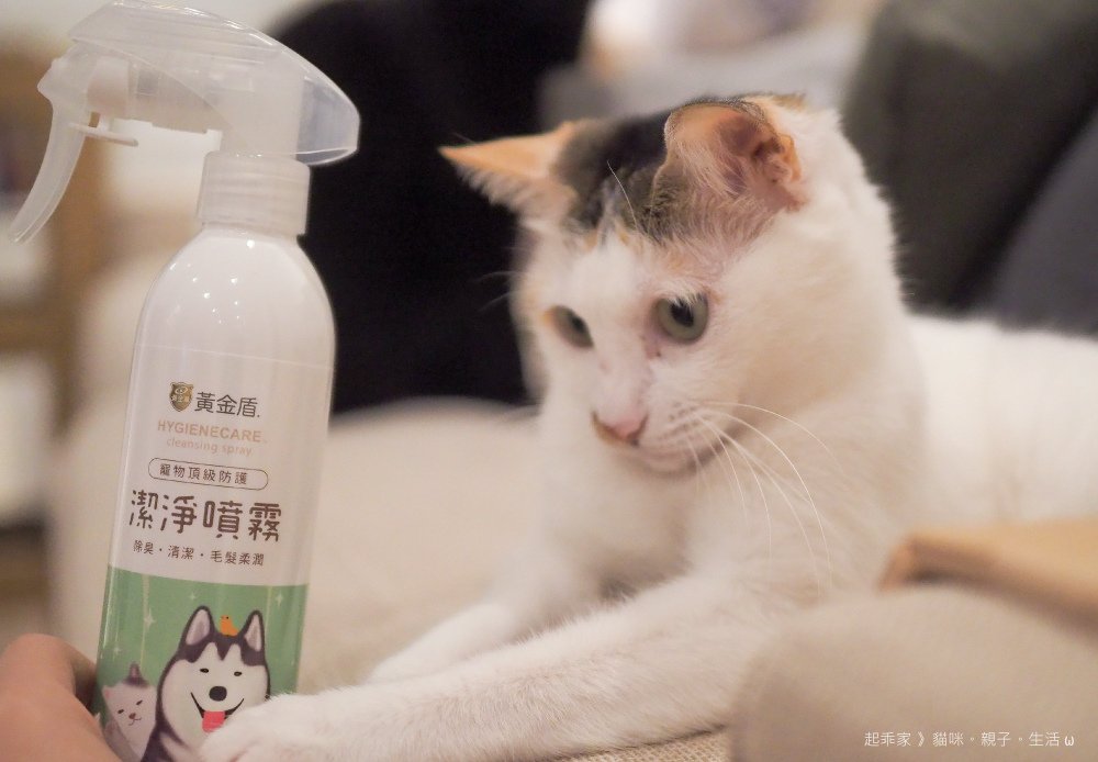潔淨噴霧.jpg